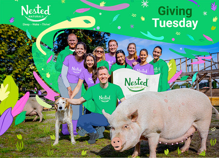 #GivingTuesday