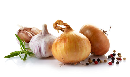 4 Types of Natural Antibiotics And Their Uses